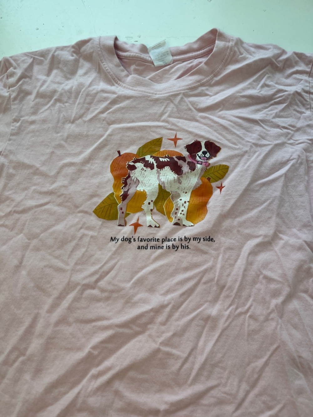 Amazon Medium Pink My Dogs Favorite Place Is By My Side Graphic Short Sleeve T - Picture 4 of 5